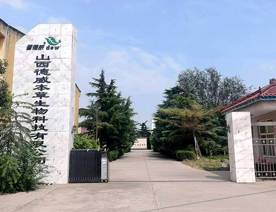 规模实力
